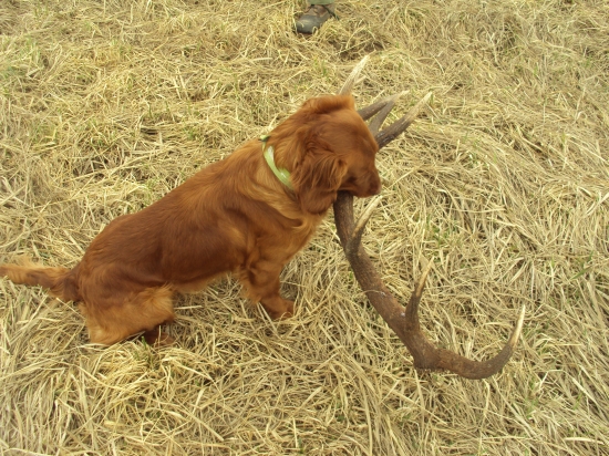 Ar s šesnácterákem