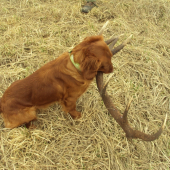 Ar s šesnácterákem