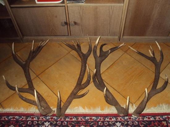 pára 2009 a pára 2011