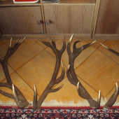 pára 2009 a pára 2011