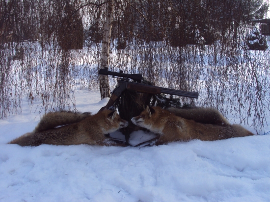 Letošní kaňkování