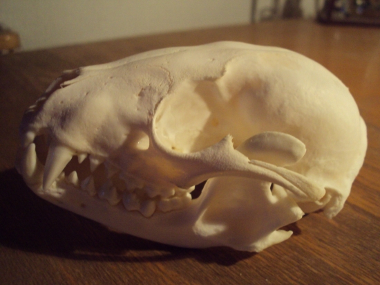 Z čeho pak to je? hádanka