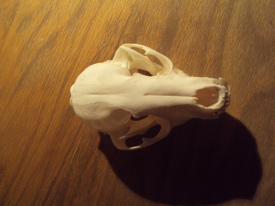 Z čeho pak to je? hádanka