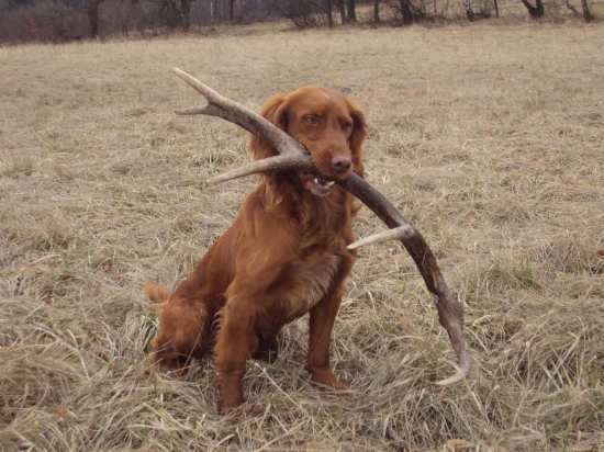 Konečně první v sezóně 2012