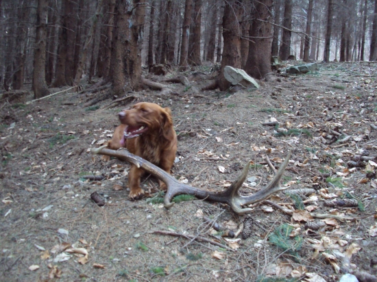 největší sezony 2012