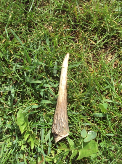 I toto se dá najít