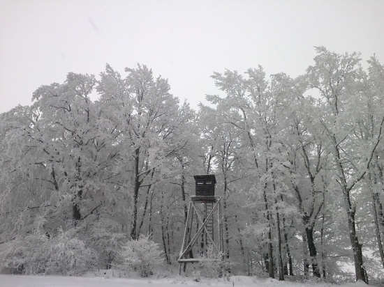 Zima 2013