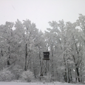 Zima 2013