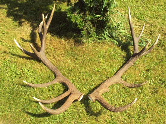 Nepravidelný šesnácterák