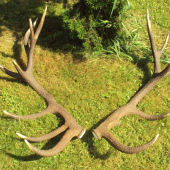 Nepravidelný šesnácterák