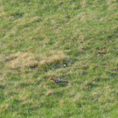 jeden zo vzácnejších pohľadov