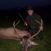 vyvrcholenie jelenej ruje ako z veľkej knihy
