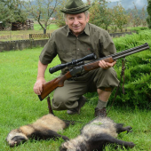 psík medvedíkovitý