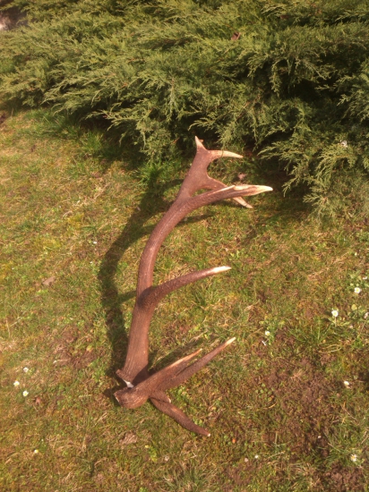 zhod zo strážovských vrchov - abnormalita