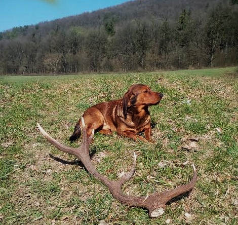 prvý úlovok Maxa spod Kavčiara