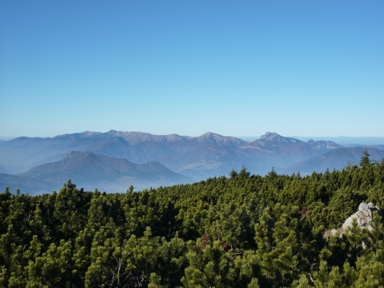 V pozadí Malá Fatra