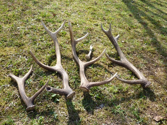 z minuleho týždna,vsetko staré