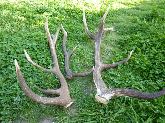 Včera sa mi zadarilo