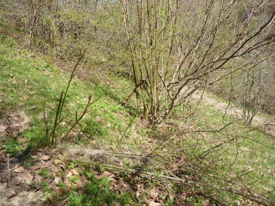 Takto ma čakal (Prvý pohlad)