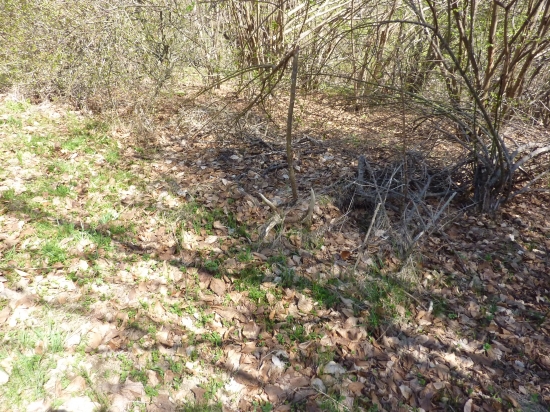 Zabudnutý desatorák 2,20 kg(prvý pohlad)