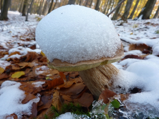 ˇPríroda je nevyspytateľná