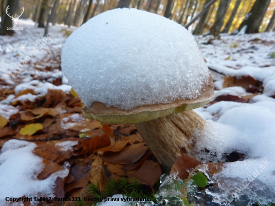 ˇPríroda je nevyspytateľná