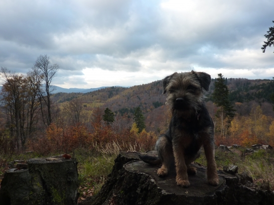 dnešná prechádzka