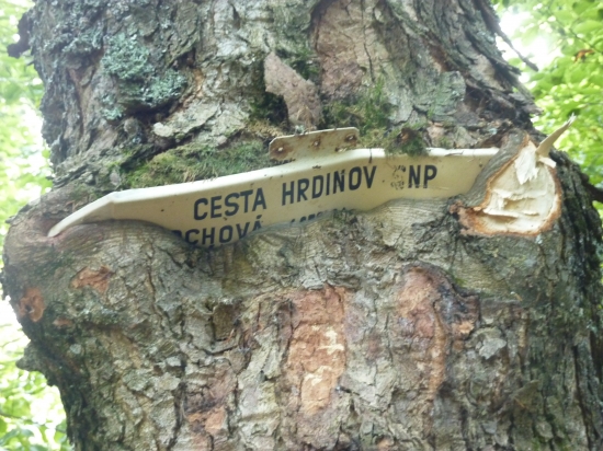 Cesta hrdinov SNP :)