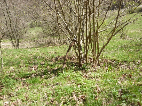 Aj takto sa dá nájsť