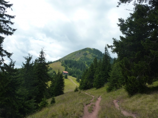Borišov