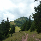 Borišov