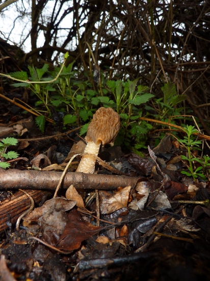 Aj u nás začínajú