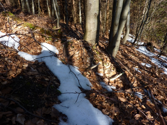 zabudnutý desatorák