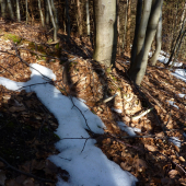 zabudnutý desatorák