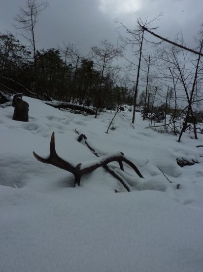 Keď bolo snehu vyše kolien.