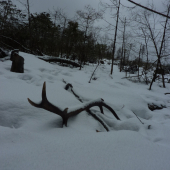 Keď bolo snehu vyše kolien.