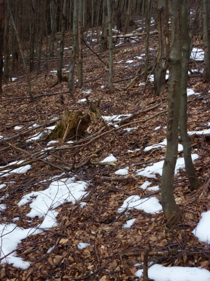 Zabudnutý dvanástorák-prvý pohľad