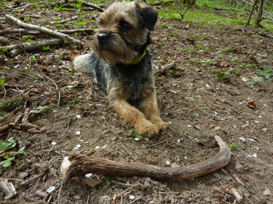 Peknú kostičku som našla :)