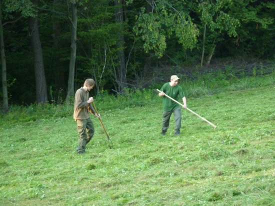 Rozhadzovanie mládze