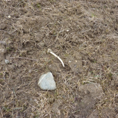 Diamantový