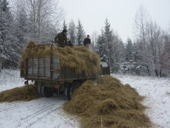 Dnešné prikrmovanie