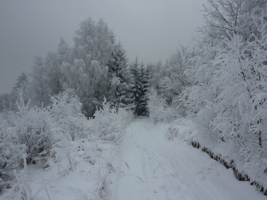 Mrázik sa riadne vybláznil...