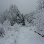 Mrázik sa riadne vybláznil...