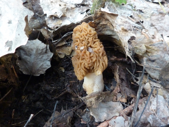 Ešte treba zo dva mesiace vydržat