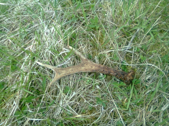 Neskôr ale poteší :D