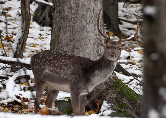 Vôjdi a neuškoď,do hory.