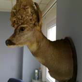 Parochniar(kamaratov)