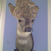 Parochniar(kamaratov)