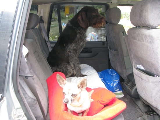 Agon už mal dosť- chce isť domov