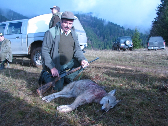 Uspesny strelec-lovec vlkov